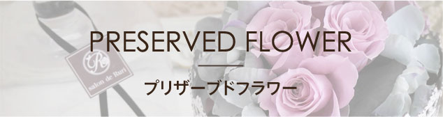 PRESERVED FLOWER